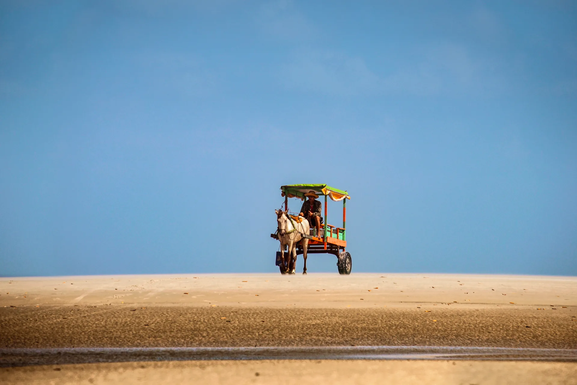 Charrete puxada por cavalo no alto de uma faixa de areia, sob céu azul limpo, na Ilha de Algodoal