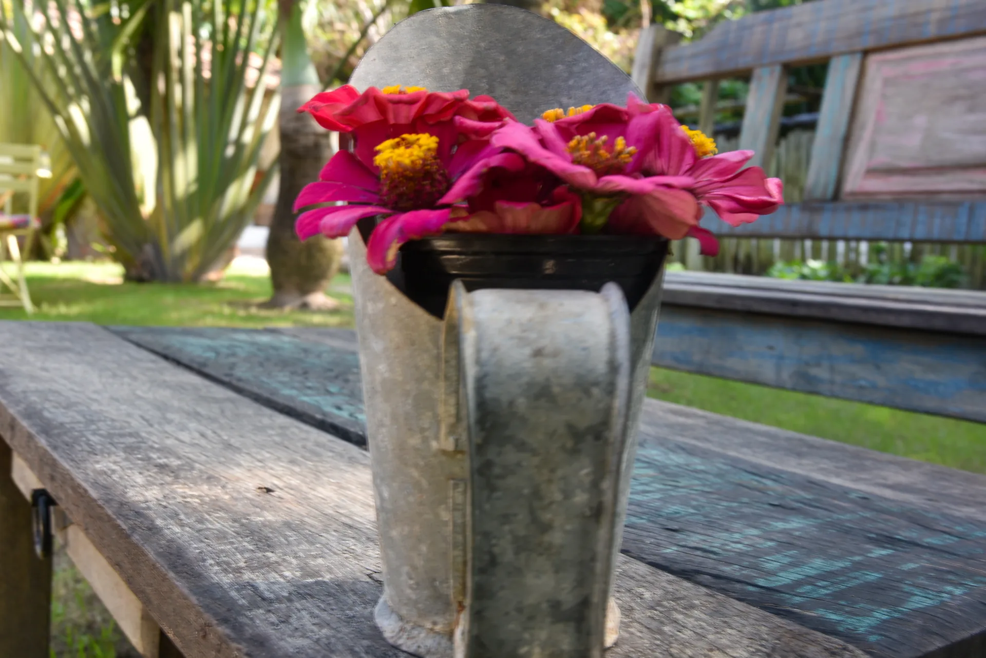 Dosador de grãos de metal com flores cor-de-rosa sobre uma mesa de madeira rústica