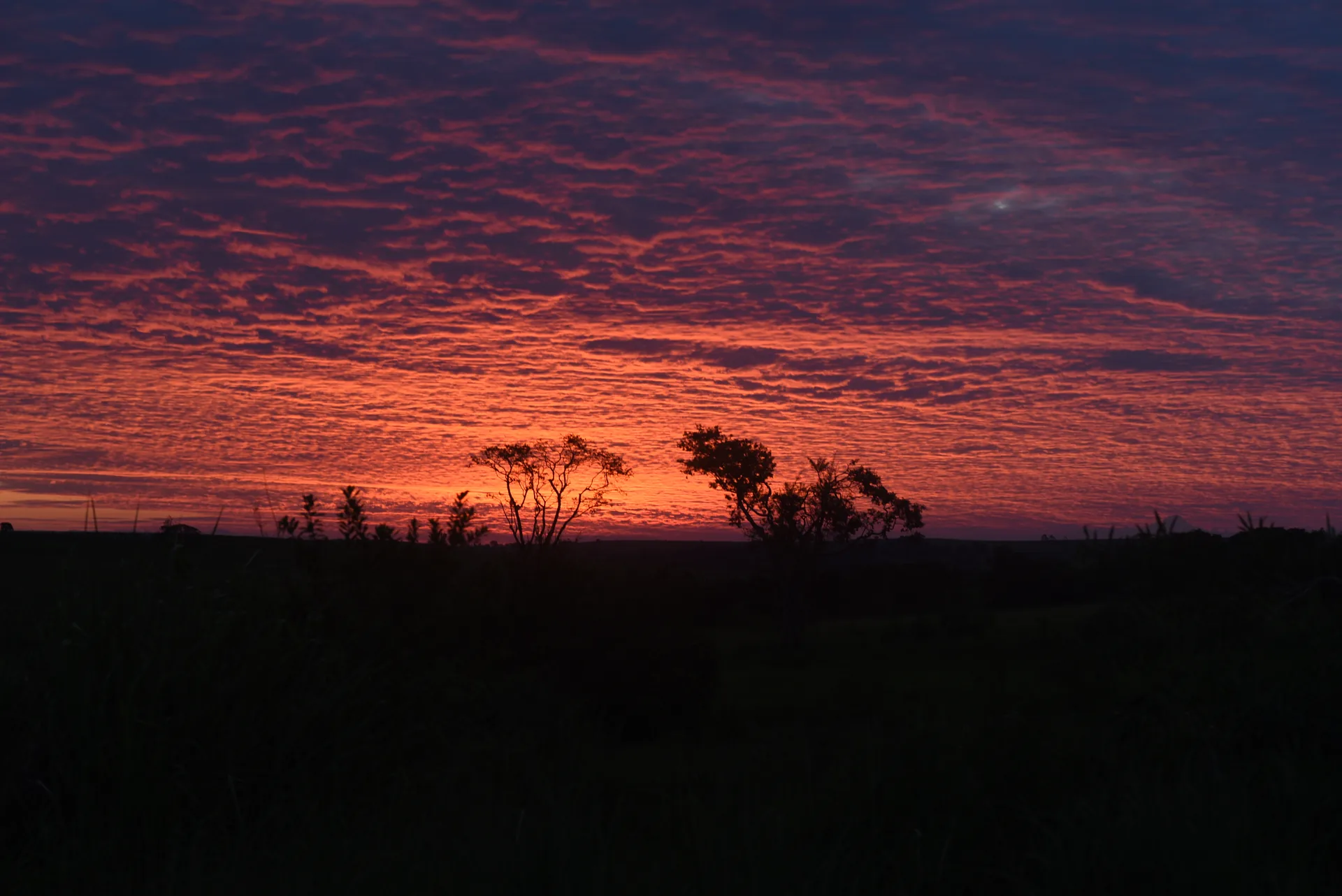 Céu do pôr do sol coberto de nuvens vermelhas e alaranjadas sobre a silhueta de árvores no campo