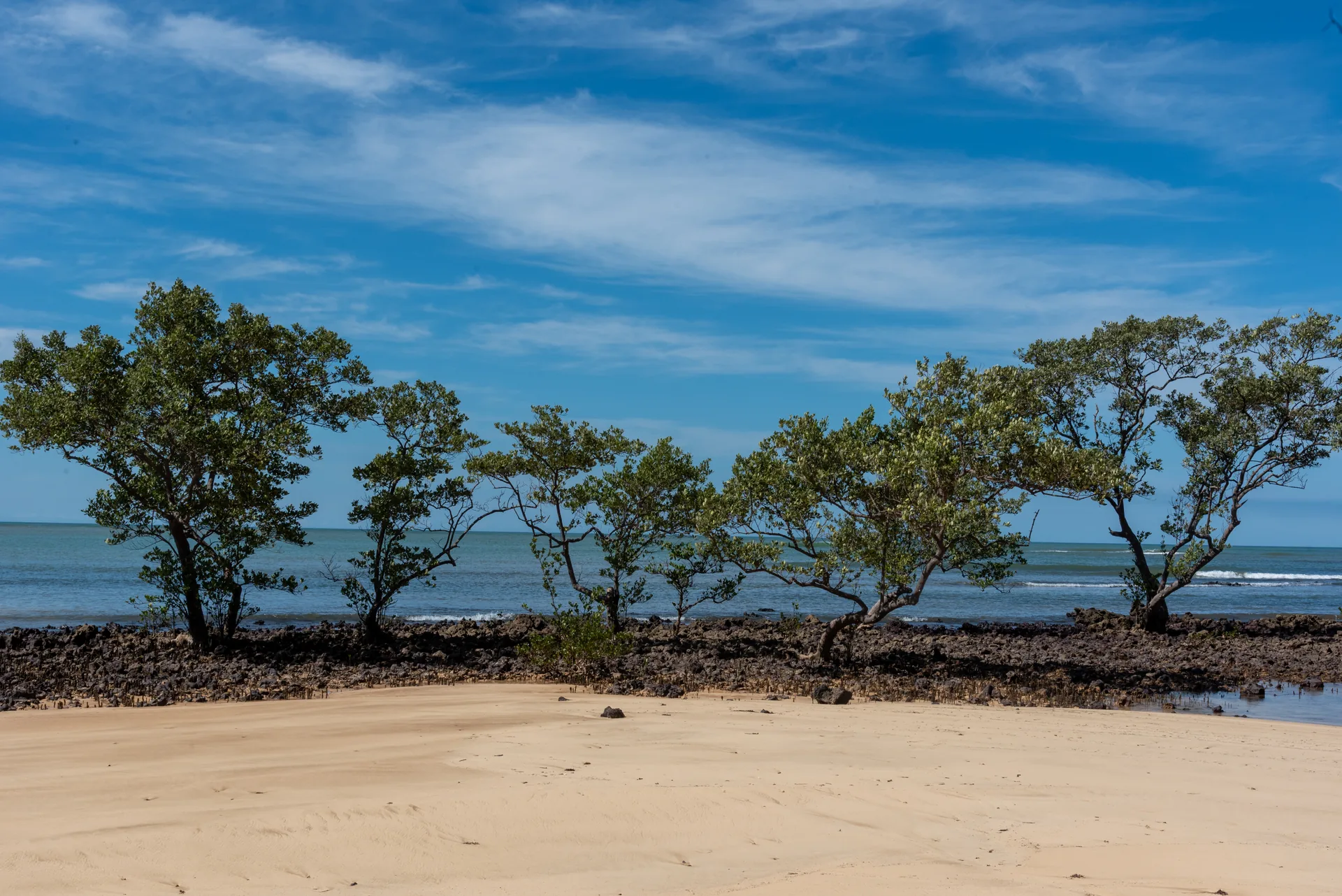 Árvores retorcidas sobre as pedras da Praia da Biologia, com areia clara e céu azul, em Aracruz