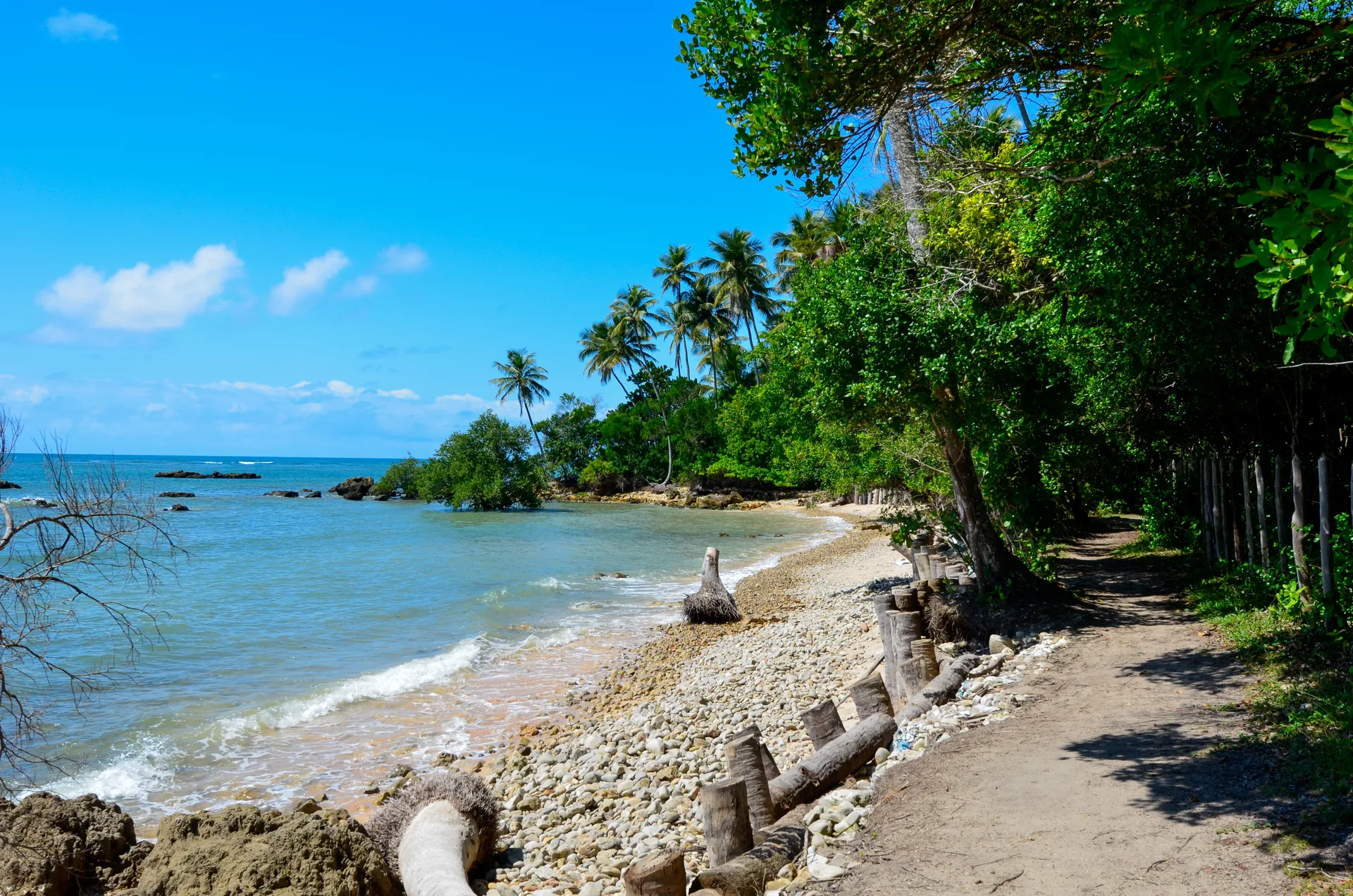 Trilha à beira de uma praia de água azul-clara com coqueiros, na Praia de Tassimirim, em Boipeba